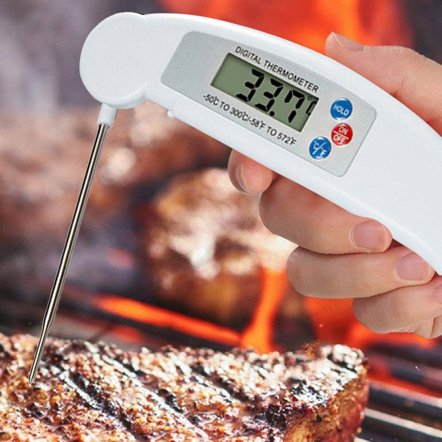 ProThermo Instant-Read Digital Meat Thermometer